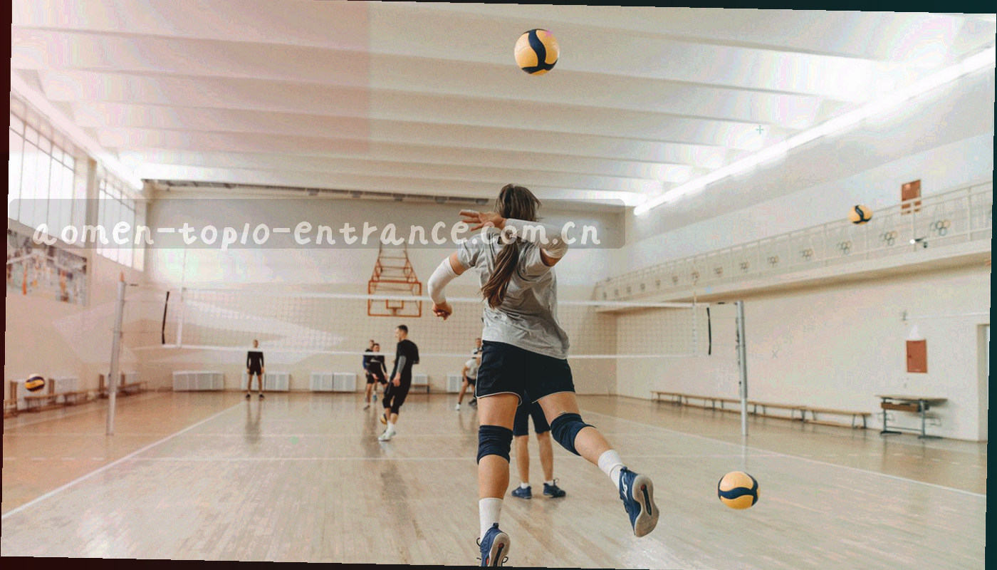 四个圆形区块环绕中心一点的抽象图形，用品红、青蓝、暖金与灰白区分，无文字